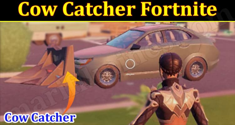 Gaming Tips Cow Catcher Fortnite