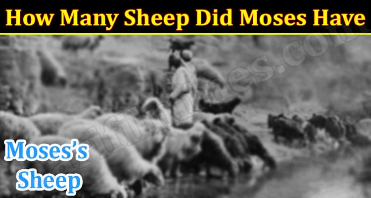 Latest News How Many Sheep Did Moses Have