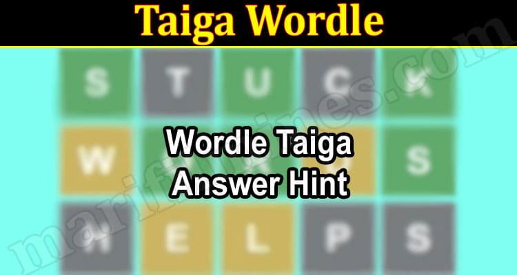 Gaming Tips Taiga Wordle