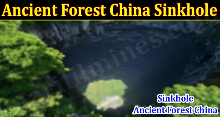 Latest News Ancient Forest China Sinkhole