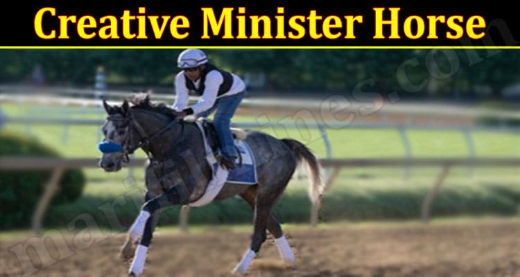 Latest News Creative Minister Horse