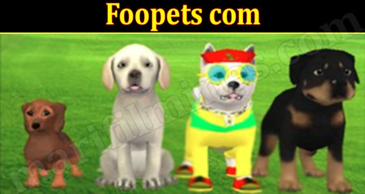 Latest News Foopets com