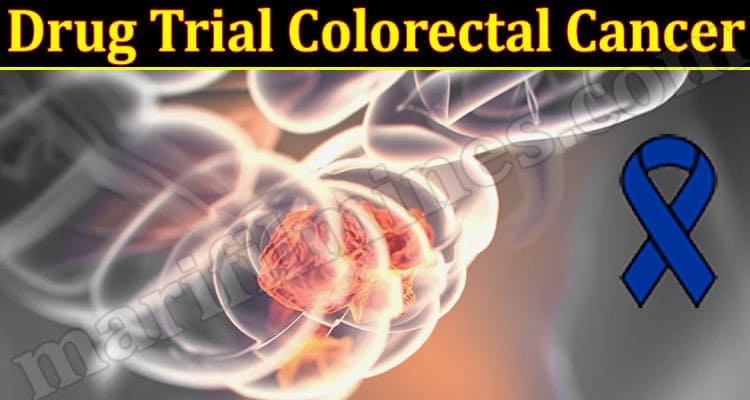 Latest News Drug Trial Colorectal Cancer