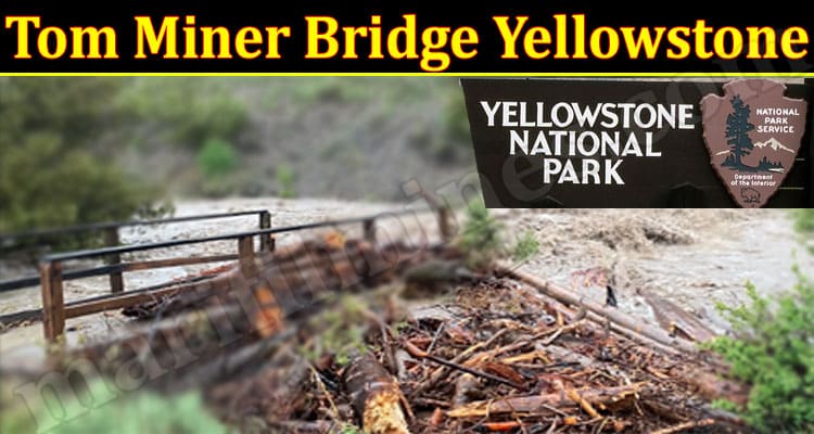 Latest News Tom Miner Bridge Yellowstone