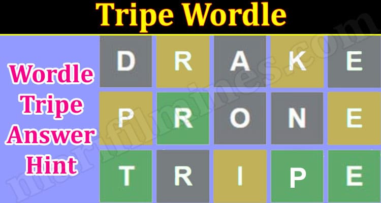 Gaming Tips Tripe Wordle