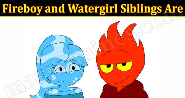 Fireboy And Watergirl Siblings Are