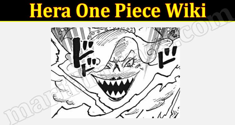 Latest News Hera One Piece Wiki