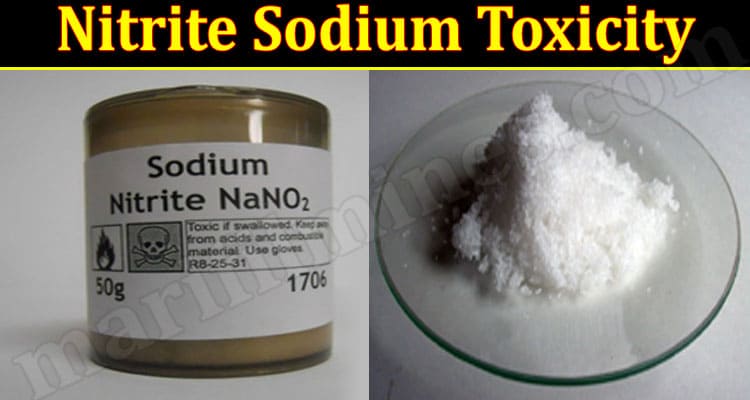 Latest News Nitrite Sodium Toxicity