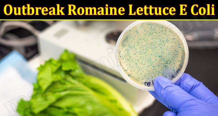 Latest News Outbreak Romaine Lettuce E Coli