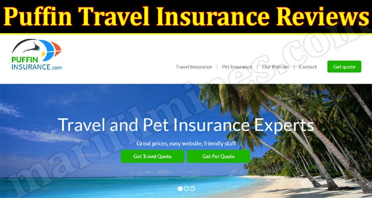 Latest News Puffin Travel Insurance Reviews