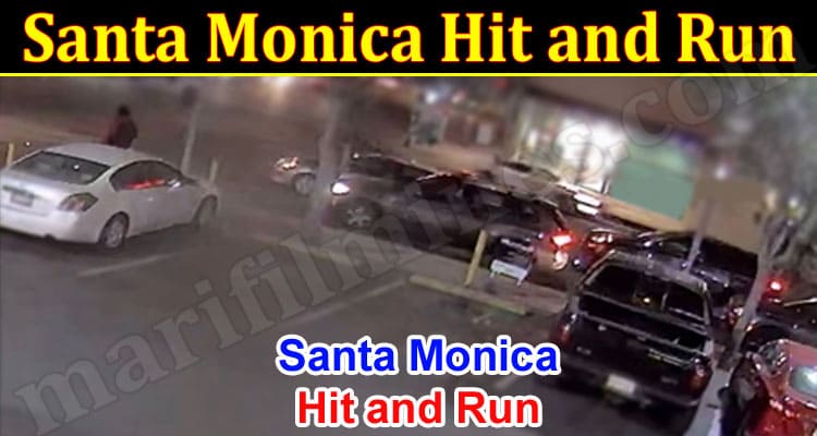 Latest News Santa Monica Hit and Run