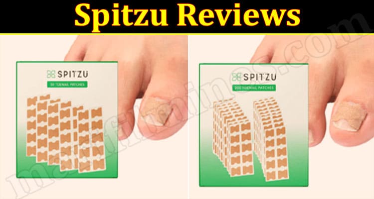 Spitzu Online website Reviews