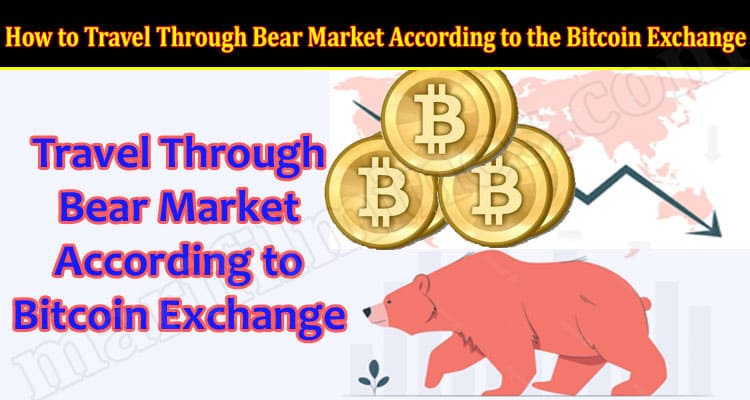 How to Travel Through Bear Market According to the Bitcoin Exchange