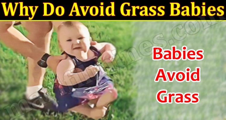 Latest News Why Do Avoid Grass Babies