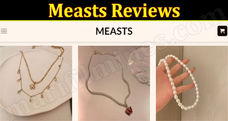 Measts Online website Reviews