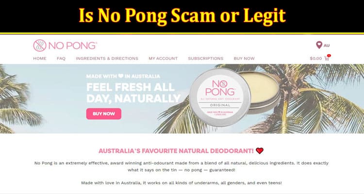 No Pong Online website Reviews