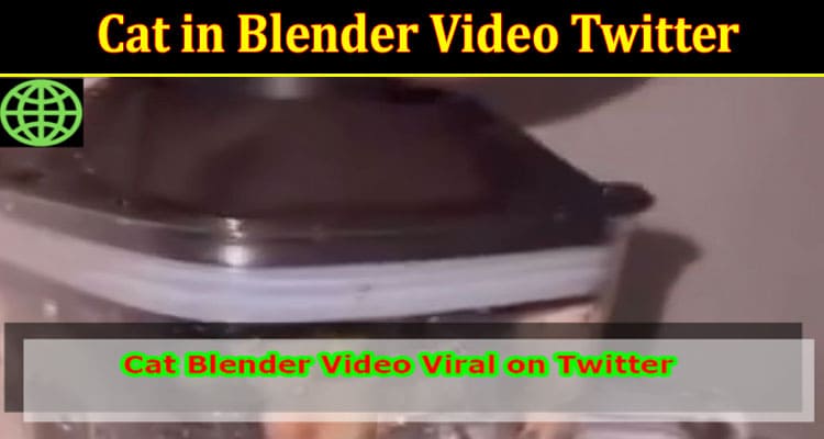 Latest News Cat in Blender Video Twitter