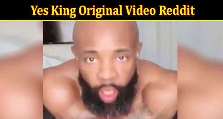 Latest News Yes King Original Video Reddit