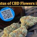 Complete Information About The Legal Status of CBD Flowers in the UK - What You Need to Know