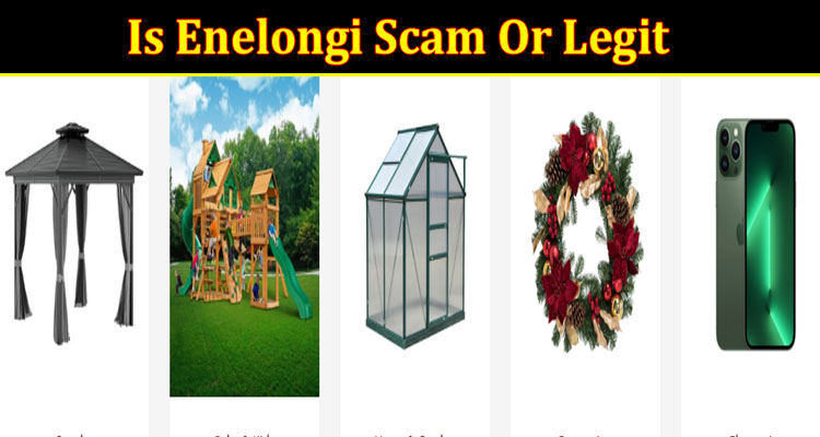 Enelongi onlinen website reviews