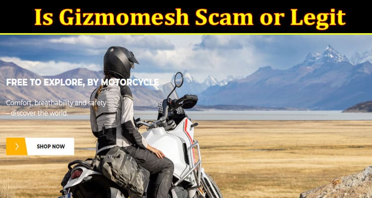 Gizmomesh Online Website Reviews