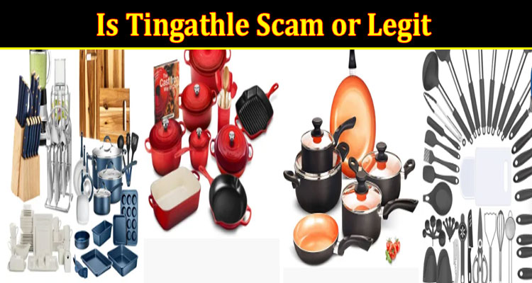 Tingathle onlinewebsite reviews