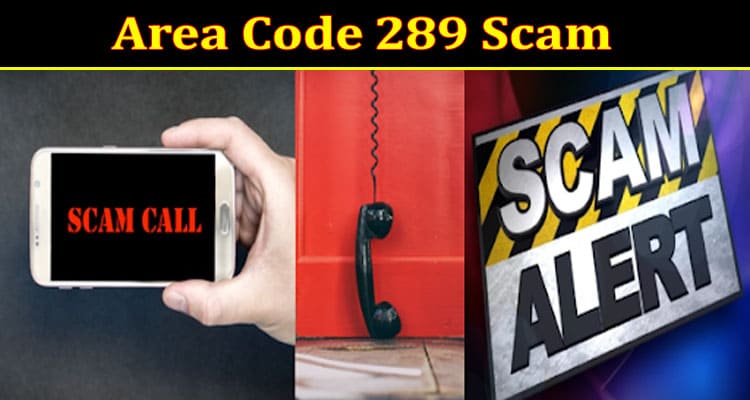 Area Code 289 Online Website Reviews