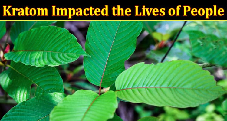 Complete Information About How Has Kratom Impacted the Lives of People