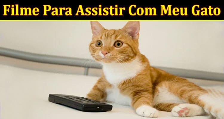 Latest News Filme Para Assistir Com Meu Gato