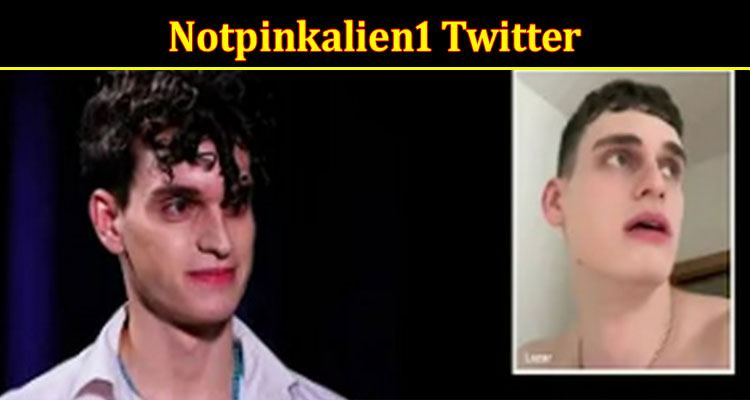 Latest News Notpinkalien1 Twitter