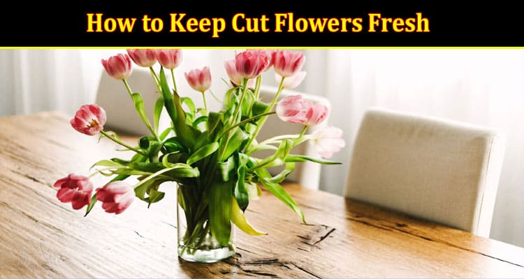 Complete Guide to How to Keep Cut Flowers Fresh