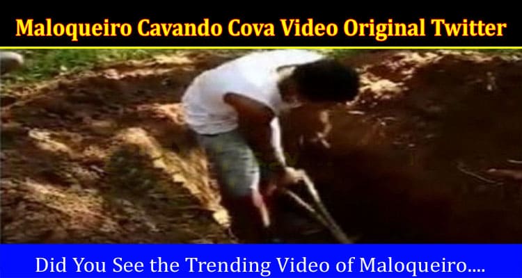 Latest News Maloqueiro Cavando Cova Video Original Twitter