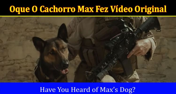 Latest News Oque O Cachorro Max Fez Vídeo Original