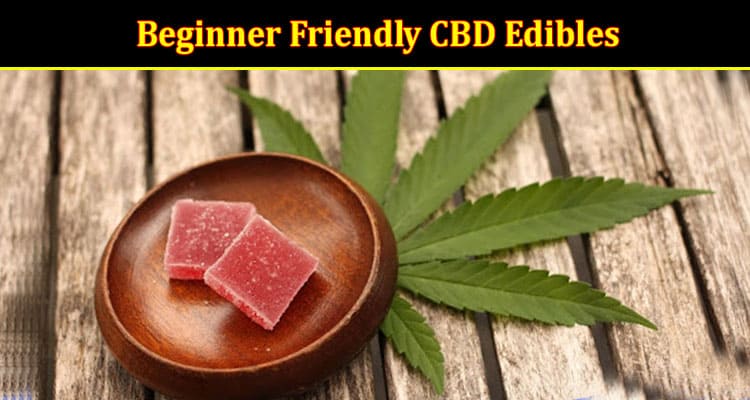 How to Beginner Friendly CBD Edibles