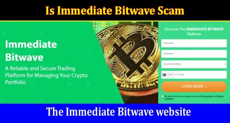 Online Website Reviews Is Immediate Bitwave Scam