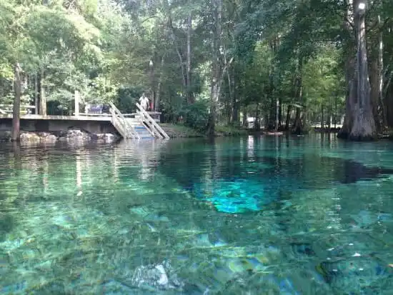 Ginnie Springs Net Worth Learn More