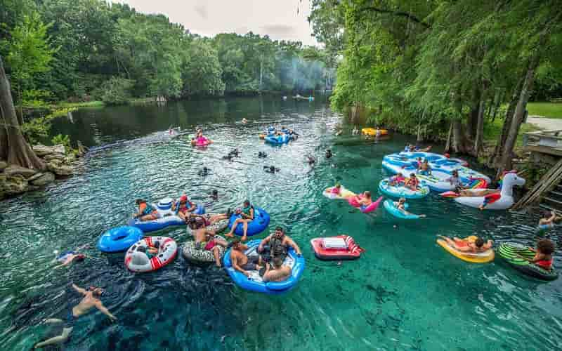 Latest News Ginnie Springs Net Worth