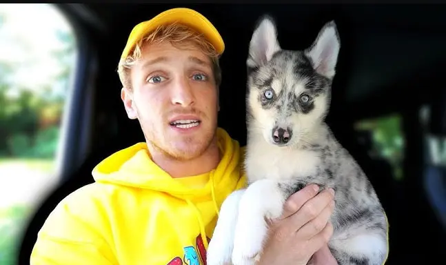 Logan Paul Gave Away His Dog